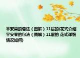平安果的包法（图解）11层的(花式介绍 平安果的包法（图解）11层的 花式详细情况如何)