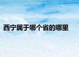 西宁属于哪个省的哪里