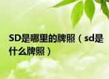 SD是哪里的牌照（sd是什么牌照）