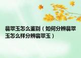 翡翠玉怎么鉴别（如何分辨翡翠玉怎么样分辨翡翠玉）