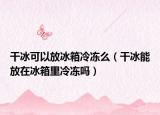 干冰可以放冰箱冷冻么（干冰能放在冰箱里冷冻吗）
