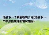 谁是下一个领涨板块介绍(谁是下一个领涨板块详细情况如何)