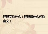 肝胆又称什么（肝胆指什么代称含义）
