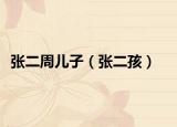 张二周儿子（张二孩）