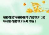 迎春花描写迎春花样子的句子（描写迎春花的句子简介介绍）