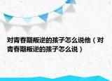 对青春期叛逆的孩子怎么说他（对青春期叛逆的孩子怎么说）