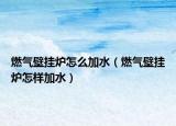 燃气壁挂炉怎么加水（燃气壁挂炉怎样加水）