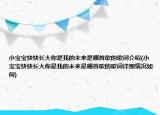 小宝宝快快长大你是我的未来是哪首歌的歌词介绍(小宝宝快快长大你是我的未来是哪首歌的歌词详细情况如何)