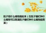 院子用什么植物围起来（在院子栅栏种什么植物可以爬满院子栅栏种什么植物能爬满）