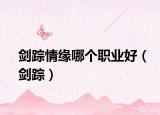 剑踪情缘哪个职业好（剑踪）