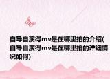 自导自演得mv是在哪里拍的介绍(自导自演得mv是在哪里拍的详细情况如何)