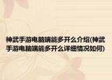 神武手游电脑端能多开么介绍(神武手游电脑端能多开么详细情况如何)