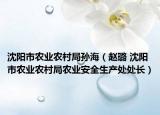 沈阳市农业农村局孙海（赵璐 沈阳市农业农村局农业安全生产处处长）