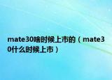 mate30啥时候上市的（mate30什么时候上市）