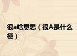 很a啥意思（很A是什么梗）