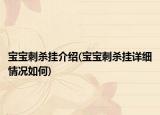 宝宝刺杀挂介绍(宝宝刺杀挂详细情况如何)