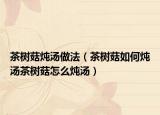 茶树菇炖汤做法（茶树菇如何炖汤茶树菇怎么炖汤）