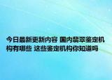 今日最新更新内容 国内翡翠鉴定机构有哪些 这些鉴定机构你知道吗