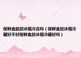 保鲜盒能放冰箱冷冻吗（保鲜盒放冰箱冷藏好不好保鲜盒放冰箱冷藏好吗）