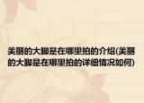 美丽的大脚是在哪里拍的介绍(美丽的大脚是在哪里拍的详细情况如何)