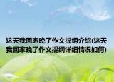 这天我回家晚了作文提纲介绍(这天我回家晚了作文提纲详细情况如何)