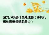 骁龙八核是什么处理器（手机八核处理器是骁龙多少）