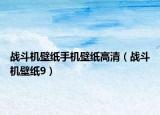 战斗机壁纸手机壁纸高清（战斗机壁纸9）