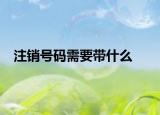 注销号码需要带什么