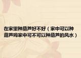 在家里种葫芦好不好（家中可以种葫芦吗家中可不可以种葫芦的风水）