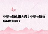 韭菜壮阳作用大吗（韭菜壮阳有科学依据吗）