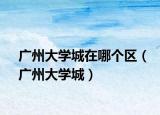 广州大学城在哪个区（广州大学城）