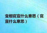 变相官宣什么意思（官宣什么意思）
