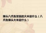 爆头八爪鱼里面的大米是什么（八爪鱼爆头大米是什么）