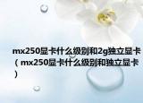mx250显卡什么级别和2g独立显卡（mx250显卡什么级别和独立显卡）