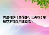 啤酒可以什么花都可以浇吗（哪些花不可以用啤酒浇）