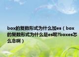 box的复数形式为什么加es（box的复数形式为什么是es呢?boxes怎么念啊）
