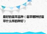 最好的翡翠品种（翡翠哪种好翡翠什么样的种好）