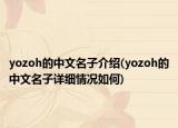 yozoh的中文名子介绍(yozoh的中文名子详细情况如何)