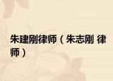 朱建刚律师（朱志刚 律师）