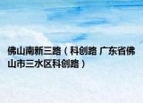 佛山南新三路（科创路 广东省佛山市三水区科创路）