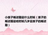 小孩子叛逆期是什么时候（孩子的叛逆期是啥时候几岁是孩子的叛逆期）