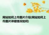 网站如何上传图片介绍(网站如何上传图片详细情况如何)