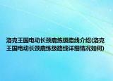 洛克王国电动长颈鹿练级路线介绍(洛克王国电动长颈鹿练级路线详细情况如何)