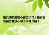 给女朋友的暖心留言长句（给女朋友留言的暖心句子简介介绍）