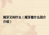 尾牙又叫什么（尾牙是什么简介介绍）