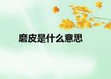 磨皮是什么意思