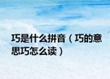巧是什么拼音（巧的意思巧怎么读）