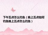 下午五点怎么钓鱼（晚上五点如何钓鱼晚上五点怎么钓鱼）