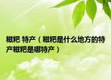 糍粑 特产（糍粑是什么地方的特产糍粑是哪特产）