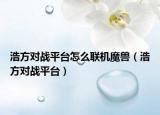 浩方对战平台怎么联机魔兽（浩方对战平台）